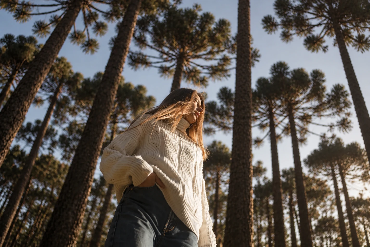 Mulher contempla as copas das araucárias na mata